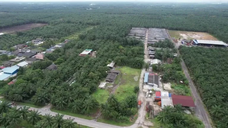 dji_fly_20230304_161153_0_1677936118165_video_cache-frame-at-0m20s