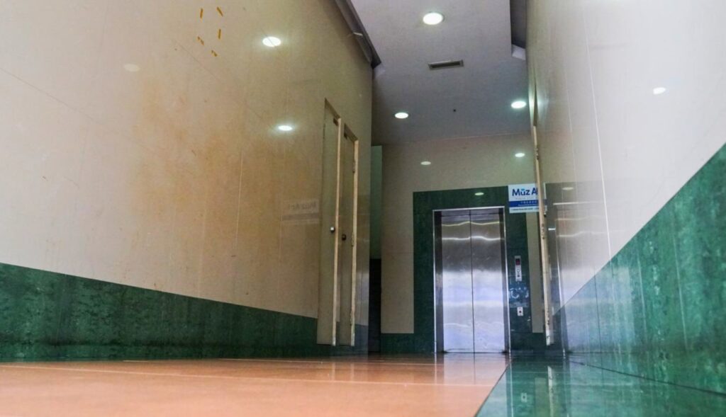 Taipan for rent