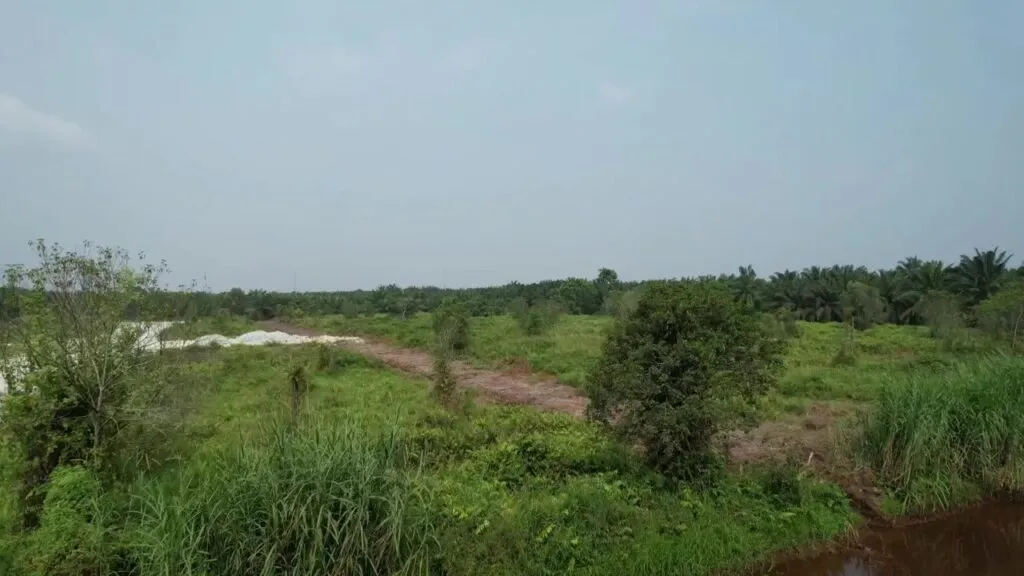 Bukit Perah land for rent, Jenjarom