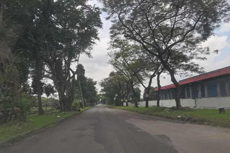 Seksyen 15 for rent
