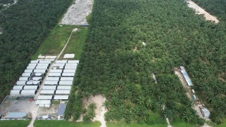 Telok Mengkuang land for sale