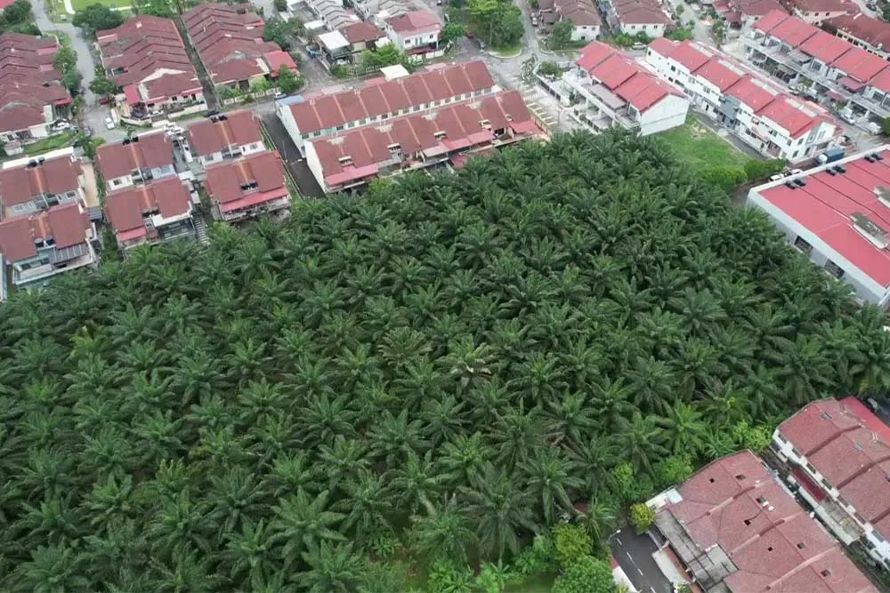 Telok Panglima Garang land for sale